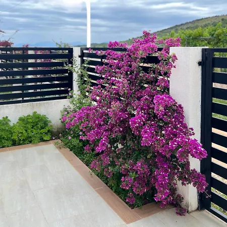 Vila Roas 2 Hotel Ksamil