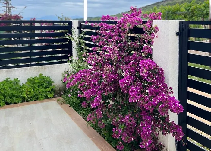 Vila Roas 2 מלון קסאמיל